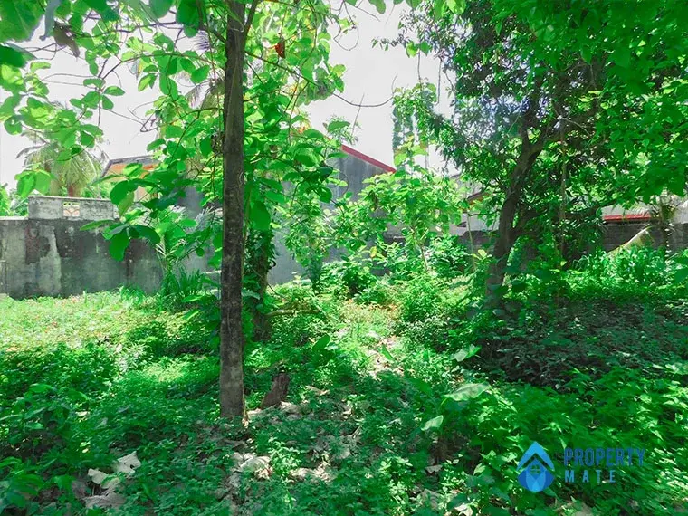 Land for sale in Raththanapitiya Boralesgamuwa